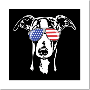 Funny proud Whippet with American Flag sunglasses Posters and Art